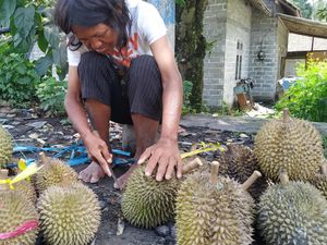 Eni, Penyandang Difabel Jual Durian di Blitar yang Sangat Mandiri