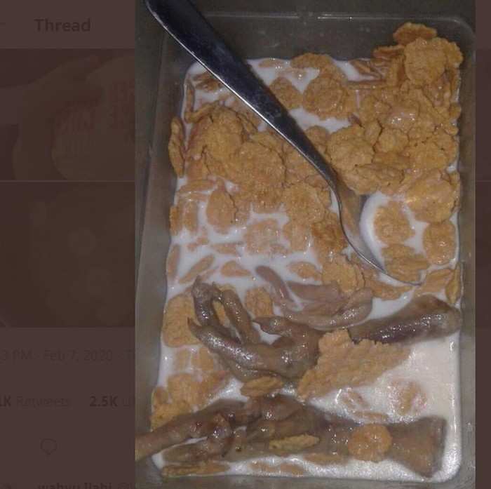 penistaan makanan