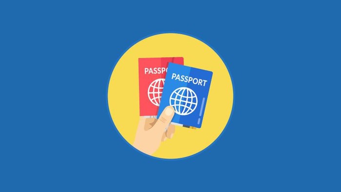 paspor infografis