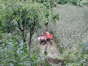 Pikap Misterius Ditemukan terjatuh ke Dasar Jurang di Situbondo