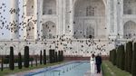 Trump-Melania Eksis di Taj Mahal