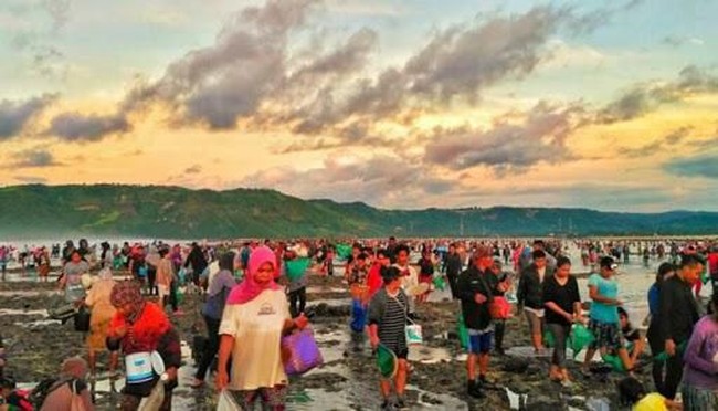 Tradisi Bau Nyale, Ratusan Orang Turun Ke Laut Cari Cacing yang Lezat Tradisi Bau Nyale, Ratusan Orang Turun Ke Laut Cari Cacing yang Lezat