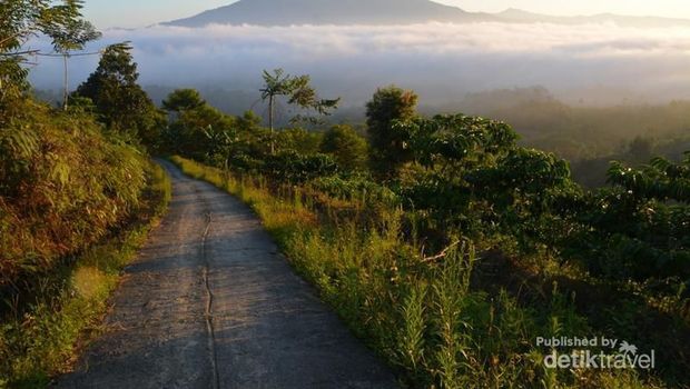 5 Tempat Wisata di Lampung Barat ini Wajib Kamu Kunjungi