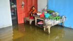 Di Kudus, Banjir Rendam Ratusan Rumah dan Puluhan Hektare Sawah