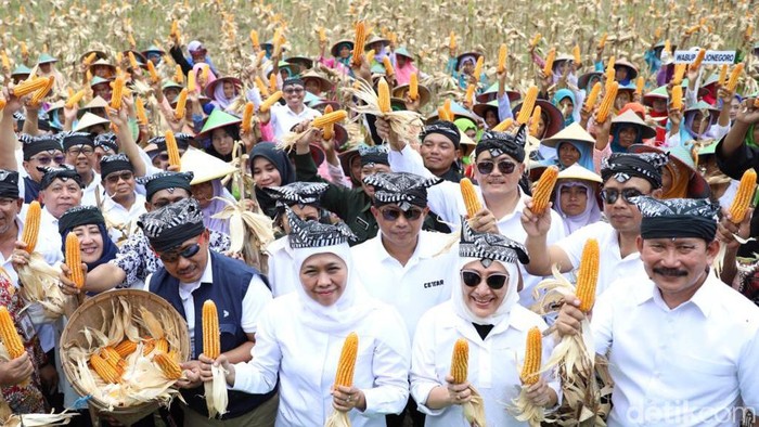 gubernur khofifah