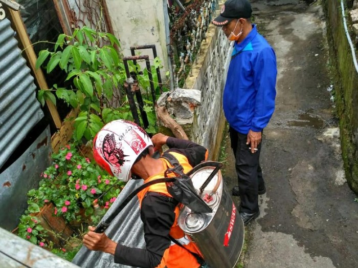 Ulat Bulu di Sukabumi