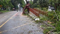 Ada enam siswa SMP di halte saat pohon tersebut tumbang. NMereka kemudian dibawa ke klinik White Rose di seberang lokasi. Dua orang mengalami luka ringan dan empat lainnya tidak mengalami luka.