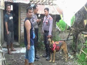 Polisi Kerahkan Anjing Pelacak Cari Kepala Korban Terpenggal di Bondowoso