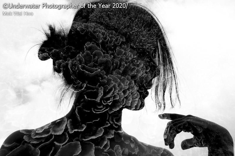 karya jawara kontes Underwater Photographer of the Year 2020