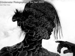 Jepretan Keren Jawara Kontes Foto Bawah Air