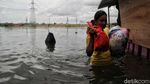 Potret Warga Korban Banjir di Semper Jakut Menanti Bantuan