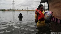 Lokasi kampung yang terendam banjir itu berada di belakang Rusun Semper, Jakarta Utara.