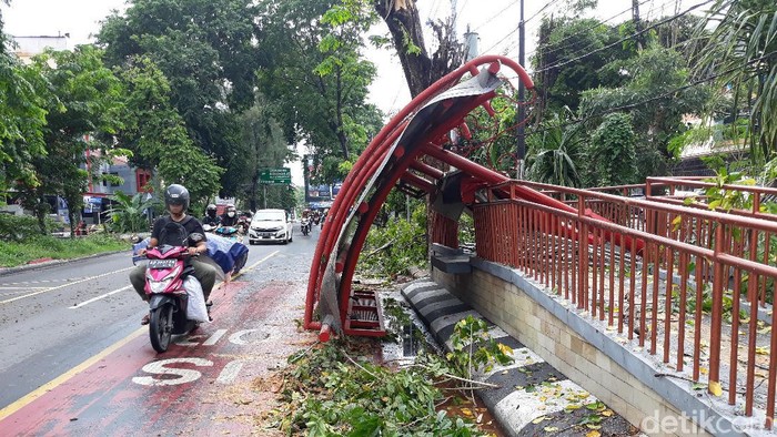 Pohon tumbang timpa halte Batik Solo Trans (BTS), Selasa (25/2/2020).