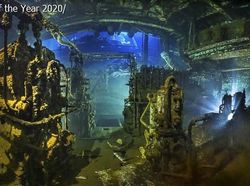 Jepretan Keren Jawara Kontes Foto Bawah Air