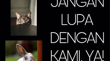 Kalau yang ini pengingat kita semua, karena korban banjir gak cuma manusia. Hewan pun perlu dievakuasi. Semoga banjir lekas surut ya. Foto: Istimewa