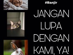 Meme Formula E di Tengah Banjir, Anies Disindir