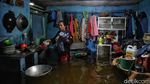 Potret Warga Korban Banjir di Semper Jakut Menanti Bantuan