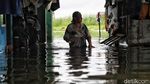 Potret Warga Korban Banjir di Semper Jakut Menanti Bantuan