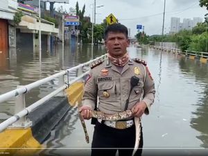Cerita AKBP Dermawan yang Laporkan Banjir Jakarta Sambil Pegang Ular