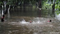 Mereka kerap berenang di sungai tersebut saat banjir datang.