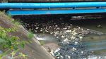 Jorok! Sampah Penuhi Kanal Jongaya di Makassar
