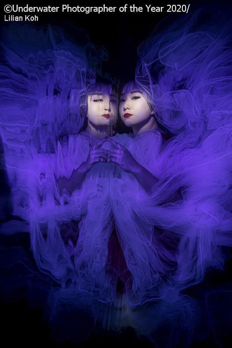 karya jawara kontes Underwater Photographer of the Year 2020