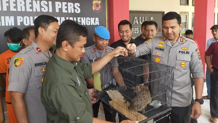 Polres Majalengka Bekuk Sindikat Jual Beli Satwa Dilindungi