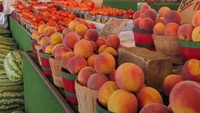 Tak hanya tertarik dengan buah semangka saat berbelanja ke pasar, kakek Steve pun terlihat tertarik dengan deretan buah peach yang sangat segar ini. Foto: Instagram @oldmansteve75