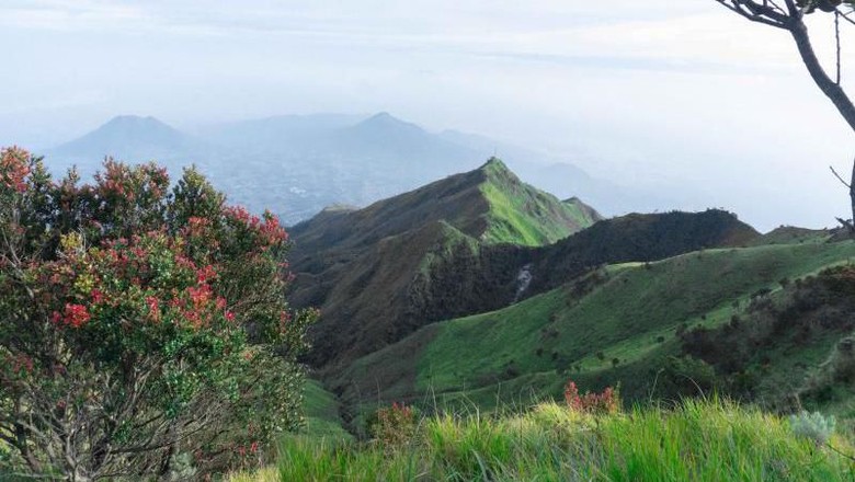 Gunung Merbabu Gunung Merbabu