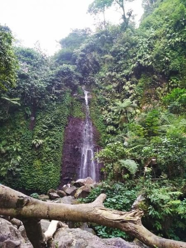 Pemkab Cari Cara Sebab Tarif Rp 54.900 Bikin Sepi Pengunjung Curug Nangka