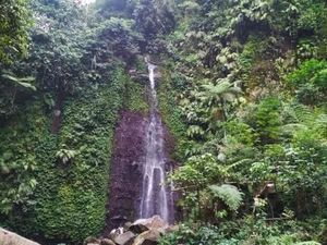 Awas Hati-hati, Banyak Monyet Nakal di Curug Nangka