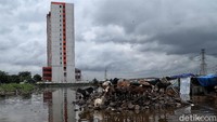 Sejumlah kambing terjebak banjir di kawasan Kampung Kandang, Semper Barat, Jakarta Utara, Selasa (25/2/2020). Kambing-kambing itu tampak berdiri di atas bebatuan yang cukup tinggi guna terhindar dari banjir.