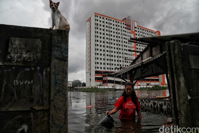 Kawasan Kampung Kandang, Semper Barat, Jakut, turut terdampak banjir ibu kota. Warga di sana pun menanti bantuan mengingat kondisi genangan air yang tinggi.
