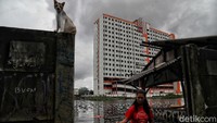 Seorang warga beraktivitas di area sekitar rumahnya yang terendam banjir di kawasan Kampung Kandang, Semper Barat, Jakarta Utara, Selasa (25/2/2020).