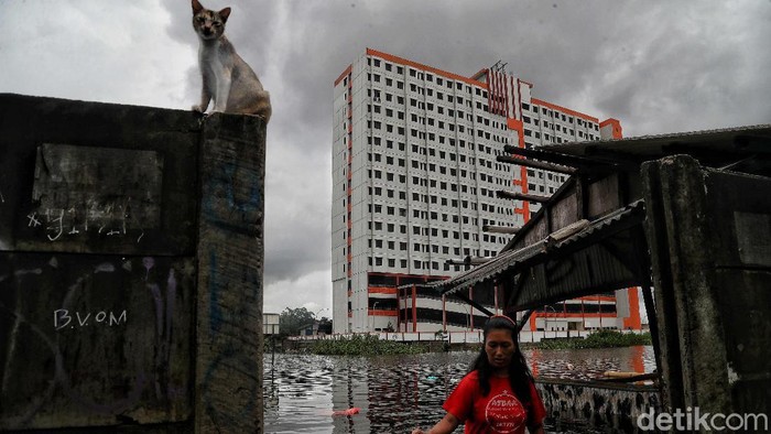 Kawasan Kampung Kandang, Semper Barat, Jakut, turut terdampak banjir ibu kota. Warga di sana pun menanti bantuan mengingat kondisi genangan air yang tinggi.