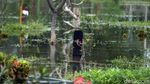Waduh! Banjir Masih Rendam TPU Karet Bivak