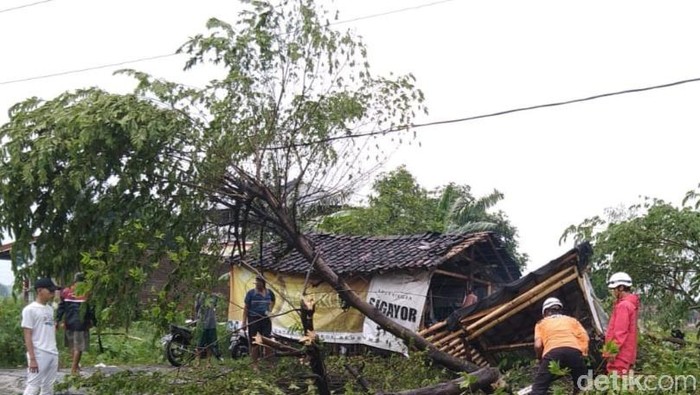 Tim relawan, BPBD, TNI Polri dan warga membersihkan pohon tumbang di Jalan Delanggu-Juwiring, Rabu (26/2/2020)