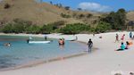 Pantai Pink Komodo yang Bikin Kangen