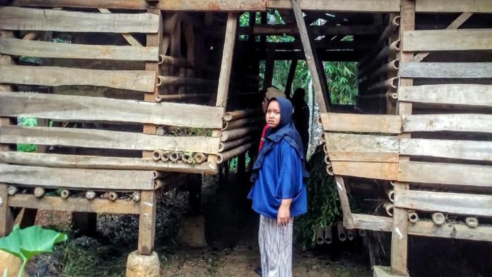17 ekor hewan ternak warga di Ciamis raib digondol maling