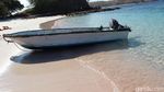 Pantai Pink Komodo yang Bikin Kangen