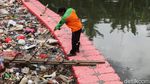 Bikin Mampet, Tumpukan Sampah di Sungai Mookervart Dibersihkan