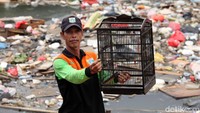 Seorang petugas menemukan sangkar burung yang ikut terbawa aliran sungai.