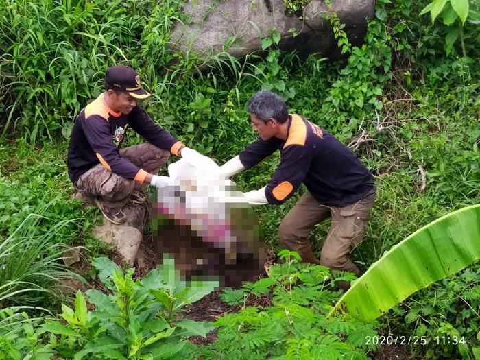 Kerangka Manusia di Hutan Pemalang Dimakamkan Warga geger dengan penemuan kerangka manusia di hutan Pemalang. Dugaan polisi kerangka itu adalah perempuan yang selama ini tinggal sendirian di pinggir hutan.
