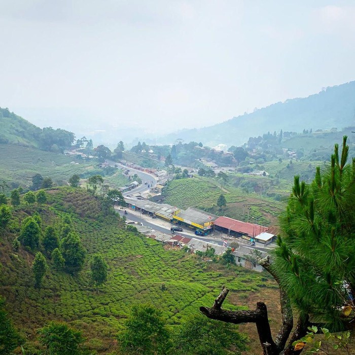 rindu alam puncak