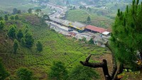 Pemandangan dari Rindu Alam Puncak. Di saat cerah, traveler yang berkunjung akan disuguhi lanskap hijau karena posisinya yang strategis (Foto: istimewa)
