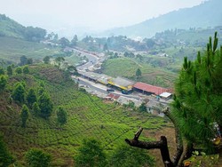 Rindu Alam Dihidupkan Lagi