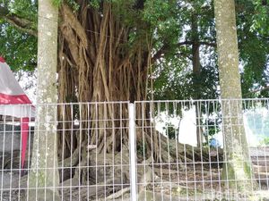 Bagaimana Kabar Ekskavasi Candi Gedog Blitar?