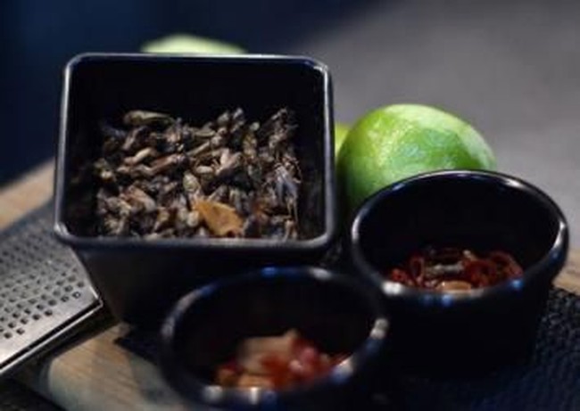 Gurih Krenyes! Serangga Bisa Jadi Makanan Enak di 5 Negara Ini