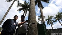 Pantauan detikcom, di sisi selatan Monas, Gambir, Jakarta Pusat, Rabu (26/2/2020), tim verifikasi bidang lingkungan Komisi Pengarah mengambil sampel tanah di area revitalisasi. Tim itu dipimpin langsung oleh ahli dari IPB, Profesor Bambang Hero.