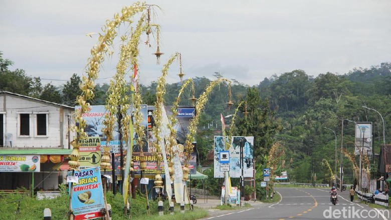janur kuning di Banjarnegara janur kuning di Banjarnegara